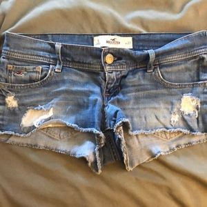 Hollister Shorties